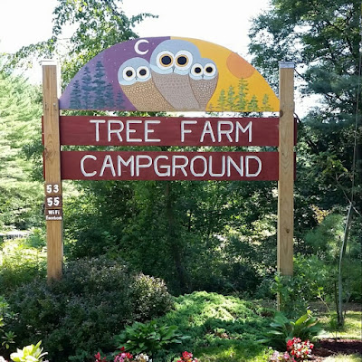 Tree Farm Campground