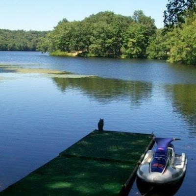 The Island Campground and Cottages