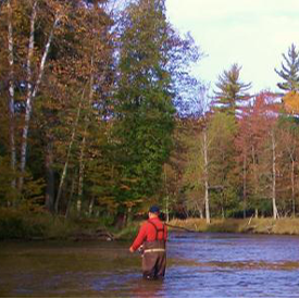 Camping Guide Whispering Oaks Campground & Cabins. LLC in Baldwin MI