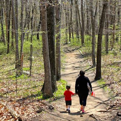 Camping Guide Webb Mountain Discovery Zone in Monroe CT