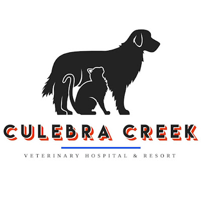 Camping Guide Culebra Creek Veterinary Hospital & Resort in San Antonio TX