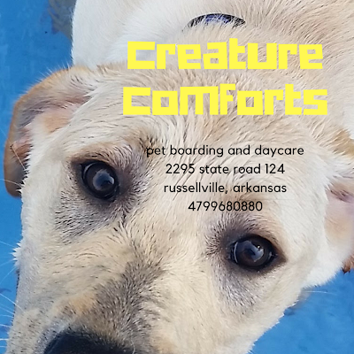 Creature Comforts - Pet Boarding & Daycare